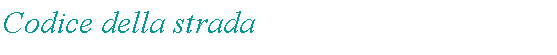 Casella di testo: Codice della strada